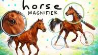 Horse Magnifier