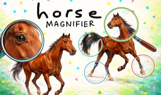 Play Horse Magnifier now!