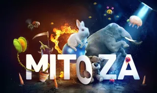 Mitoza